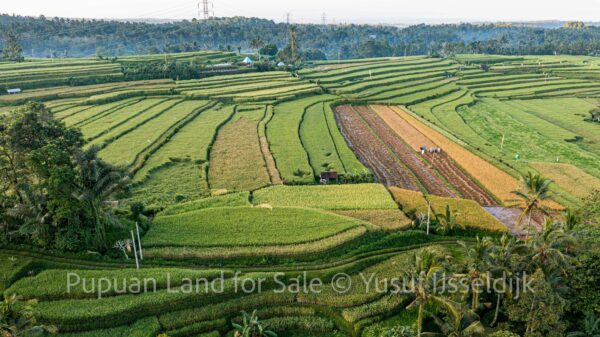 DJI_0011